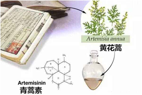 安博平台,安博(中国)：向中医药看齐，与世界共享中医药文化(图1)